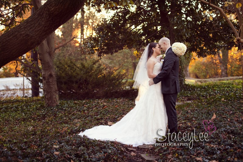 BOWLES_BLOG_0025