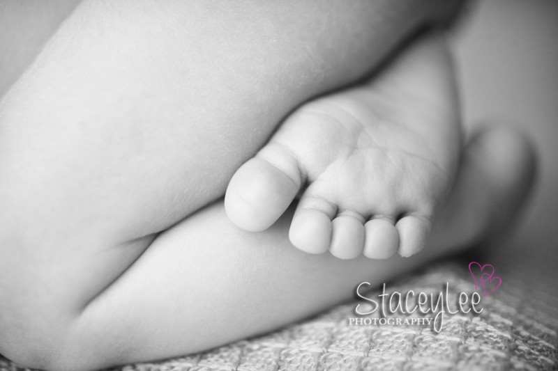 CORA_BLOG_0005