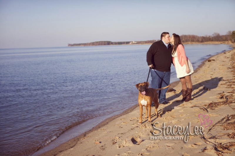 SHAW_BLOG_0004