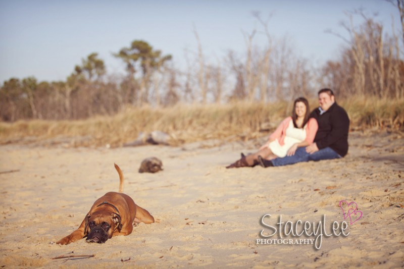 SHAW_BLOG_0006