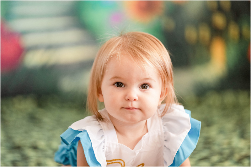 Alice in Wonderland themed First Birthday Portraits