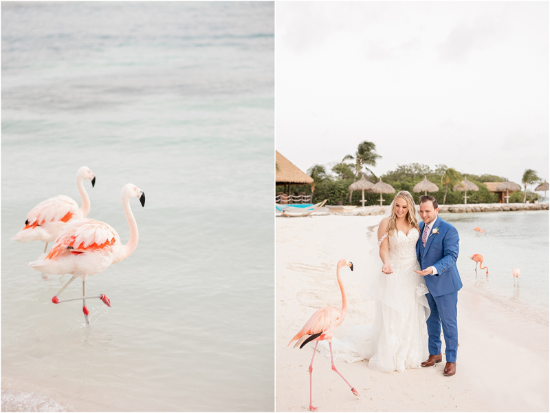 Aruba Wedding Photographer, Renaissance Wind Creek Aruba Wedding at Flamingo Island. 