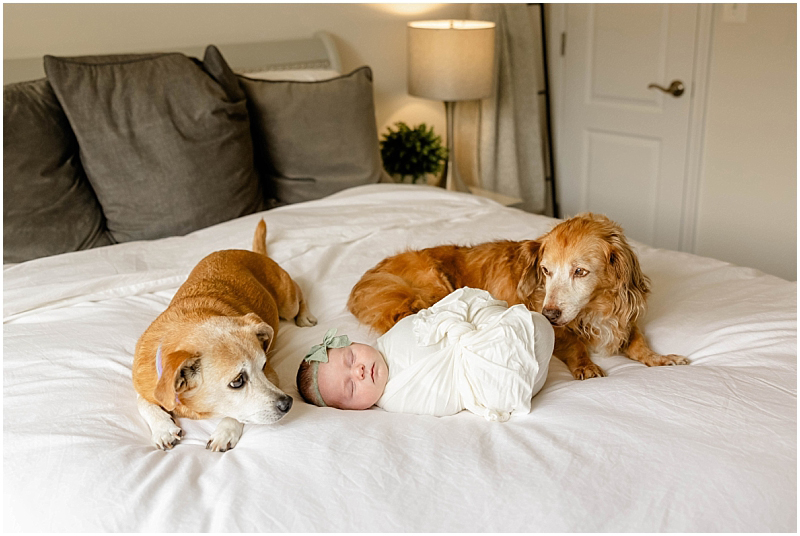 In home lifestyle newborn photography session in Severn Maryland, by StaceyLee Photography.