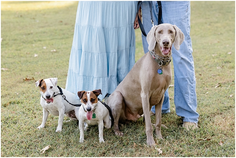 Extended Family Portraits in Pasadena Maryland by StaceyLee Photography