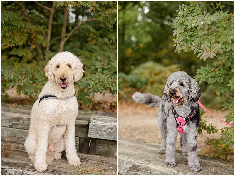 Family Portraits at Downs Park in Pasadena, Maryland by StaceyLee Photography